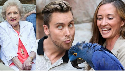 Lance Bass and his ‘big voice’ join Betty White at L.A. Zoo’s Beastly Ball